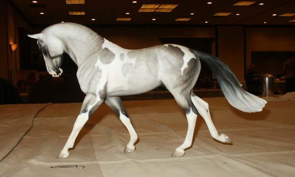 grey pinto horse